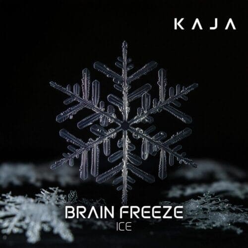 KAJA Brain Freeze – 200g Shisha Tabak