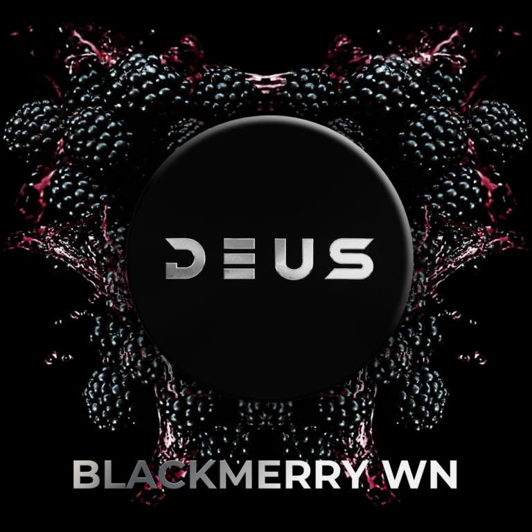 DEUS Blackmerry Wn 100g de tabac à chicha – Vin de mûre : boîte DEUS noire entre des mûres et des éclaboussures rouges