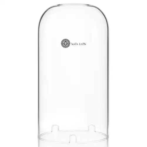 Mata Leon – Glas Windschutz Shisha