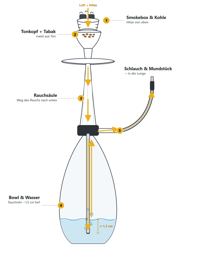 Wie funktioniert eine Shisha? Aufbau & Funktionsweise einfach erklärt